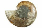 Cut & Polished Ammonite Fossil (Half) - Madagascar #282613-1